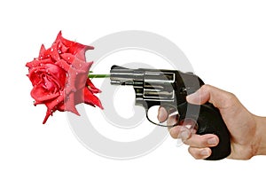 Hand holding revolver gun shooting red rose with drop of water on white background