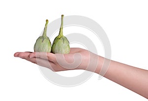 Hand holding ripe eggplant isolated on a white background