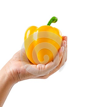 Hand holding ripe yellow bell pepper