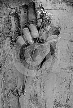 Hand holding rose in cement. Memorial day idea.