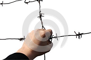 Hand holding rusty barbed wire isolated on white