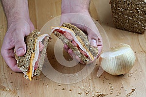 Hand holding sandwich photo