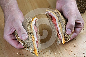 Hand holding sandwich photo