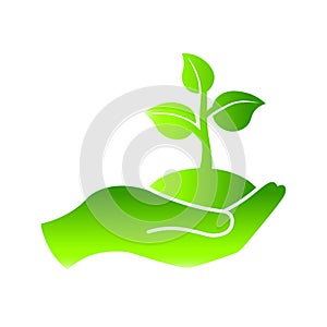 Hand holding seedlings with leaves or palm with sprout, ecology icon in green on an isolated white background. EPS 10 vector