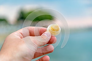 A hand holding a shell at a beach. Shallow depth of field