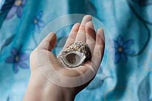 Hand holding shell shells blue white grey brown wooden floor