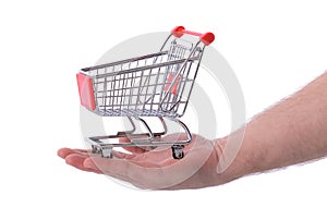 Hand holding shopping trolly