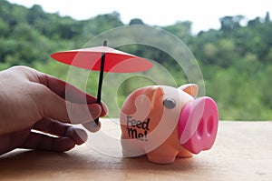 Hand holding small red umbrella over piggy bank on wooden table. Financial safety concept.