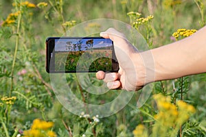 A hand holding smartphone, taking photos of nature