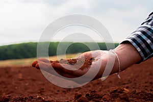 Hand holding the soil becomes a bridge between humans and the natural world, fostering the cycle of life and sustenance