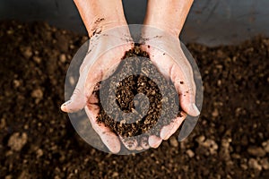 Hand holding soil peat moss photo