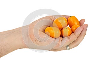 Hand holding some kumquat fruits