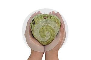 Hand holding sugar apple