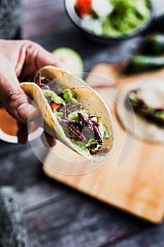 Hand holding tacos de chapulines or grasshopper taco traditional in mexican food with homemade guacamole sauce in Oaxaca Mexico