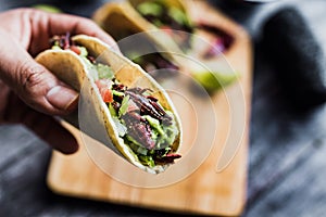 Hand holding tacos de chapulines or grasshopper taco traditional in mexican food with homemade guacamole sauce in Oaxaca Mexico