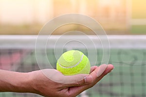 Hand holding tennis ball