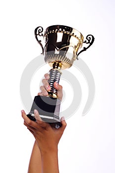 A hand holding a throphy