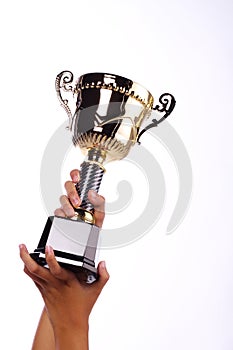 A hand holding a throphy