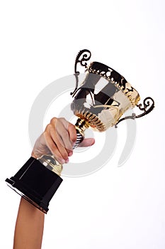 A hand holding a throphy
