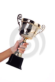 A hand holding a throphy