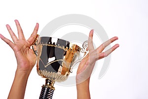 A hand holding a throphy