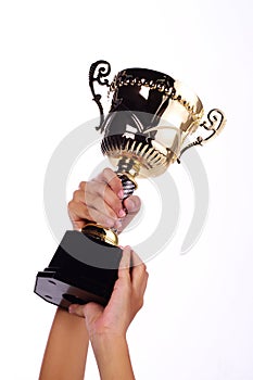 A hand holding a throphy