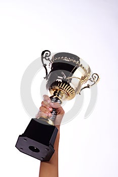 A hand holding a throphy