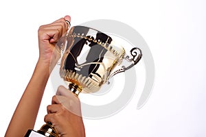 A hand holding a throphy