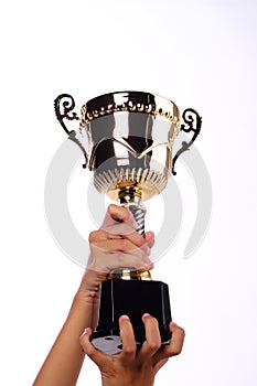 A hand holding a throphy
