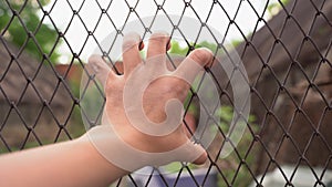 A hand holding on to a chain link fence. The hand that shakes the steel cage hopefully. The concept of Longing