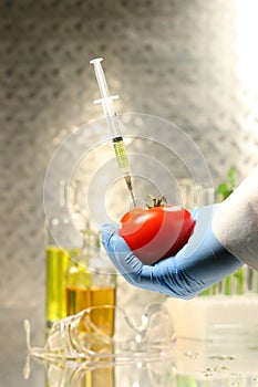 Hand holding tomato with syringe