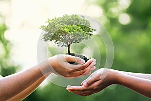 hand holding tree on blur green nature background. concept eco earth day