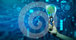 Hand holding Tree growing in light bulb. Ecology, Technology Convergence, Green Computing, and IT Ethics
