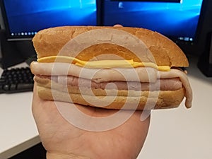 Hand holding turkey and ham and cheese sandwich over desk