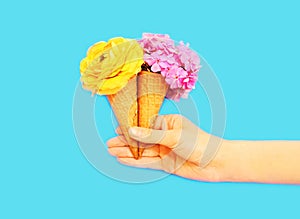 Hand holding two ice cream cone with flowers over blue