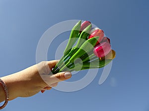 Hand Holding Up a Bouquet of Colorful Wooden Tulips agaist the background of the Blue sky
