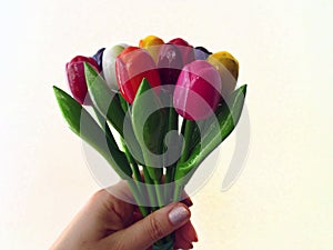 Hand Holding Up a Bouquet of Colorful Wooden Tulips Isolated on a White Background