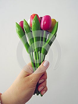 Hand Holding Up a Bouquet of Colorful Wooden Tulips Isolated on a White Background