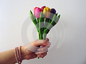 Hand Holding Up a Bouquet of Colorful Wooden Tulips Isolated on a White Background