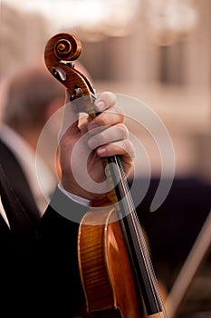 Hand holding a violin musician