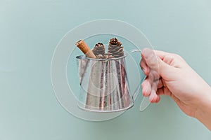 The hand holding the watering can with pine cones and a stick of cinnamon on a blue background