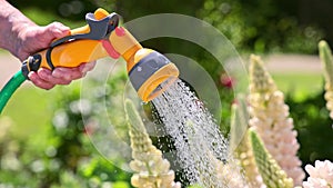 Hand holding a watering hose spray gun watering plants. UK