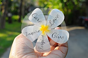 Hand holding a white Bali frangipani flower with positive words written on the petals - Care, love, give, forgive, inspire.
