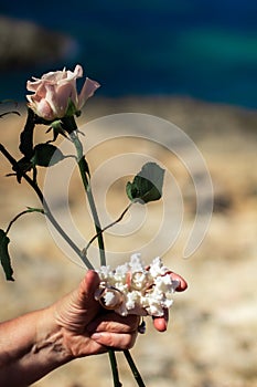 Hand holding white coral with wedding rings and roses.