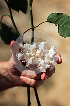 Hand holding white coral with wedding rings and roses