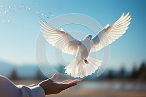 Hand holding a white dove in sunny day. Hope and freedom concept. Generative AI