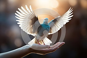 Hand holding a white dove in sunny day. Hope and freedom concept. Generative AI