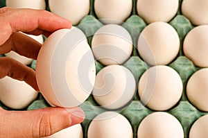 Hand holding a white egg and in the background a full green egg carton