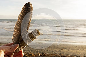 Hand Holding White Sage Smudge Stick and Feather