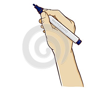 Hand Holding Whiteboard Marker Vertically